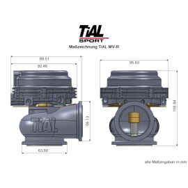 TiAL high quality MV-R Wastegate 44mm MVR rot